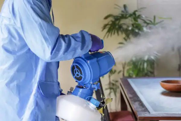Fogging treatment being applied to and sprayed in the interior of a house in Darwin.