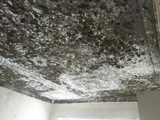 A home in Darwin's roof that is infested with mould and bacteria.