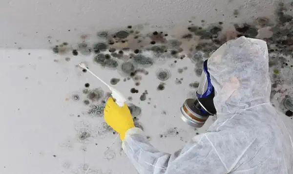 Mould being removed by one of our specialists using our special mix of cleaning products.